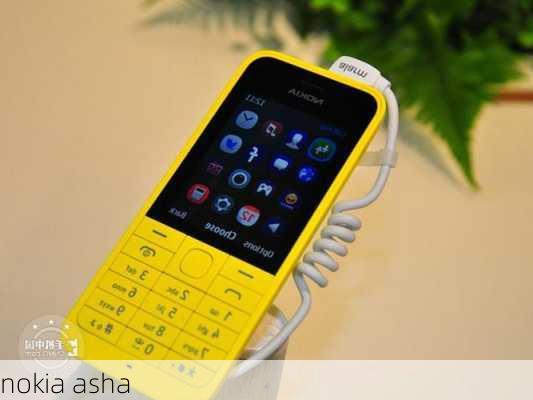 nokia asha-第2张图片-模头数码科技网