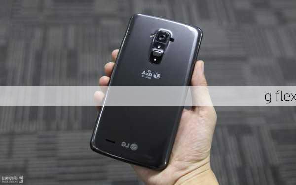 g flex-第2张图片-模头数码科技网