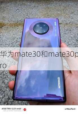 华为mate30和mate30pro-第3张图片-模头数码科技网