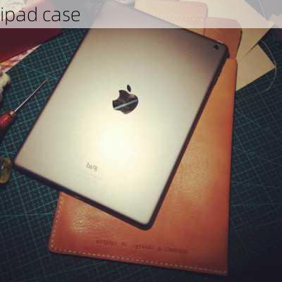 ipad case-第1张图片-模头数码科技网