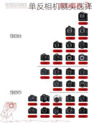单反相机镜头选择-第1张图片-模头数码科技网