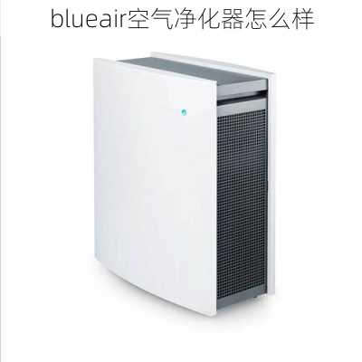 blueair空气净化器怎么样-第2张图片-模头数码科技网