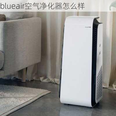 blueair空气净化器怎么样-第1张图片-模头数码科技网