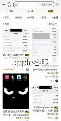 apple客服-第3张图片-模头数码科技网