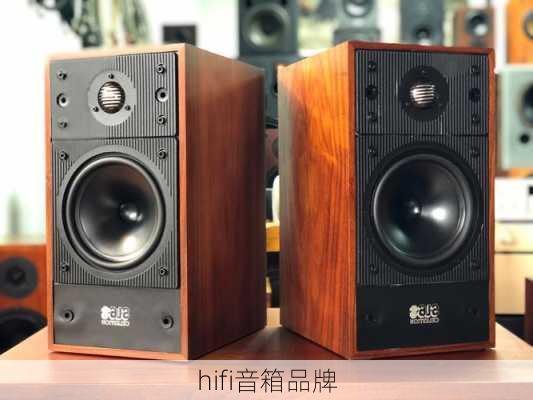 hifi音箱品牌-第1张图片-模头数码科技网