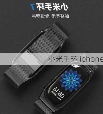 小米手环 iphone-第2张图片-模头数码科技网