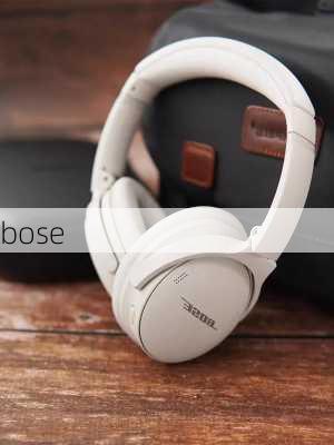 bose-第2张图片-模头数码科技网