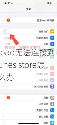 ipad无法连接到itunes store怎么办-第3张图片-模头数码科技网