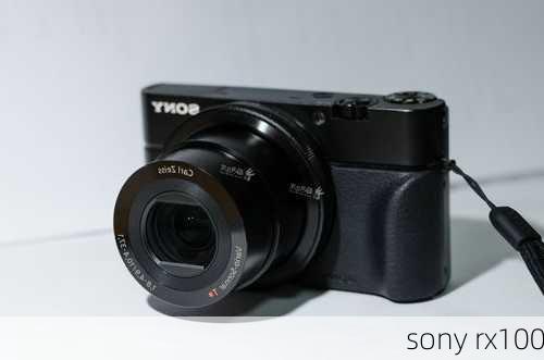 sony rx100-第2张图片-模头数码科技网