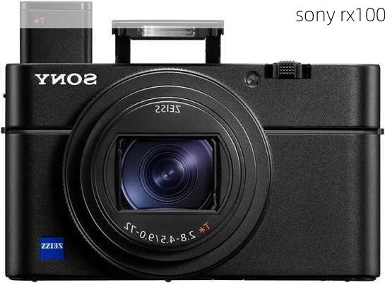 sony rx100-第3张图片-模头数码科技网