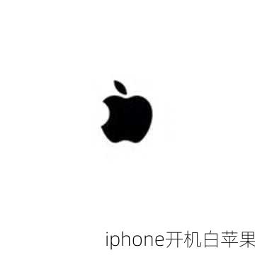 iphone开机白苹果-第1张图片-模头数码科技网