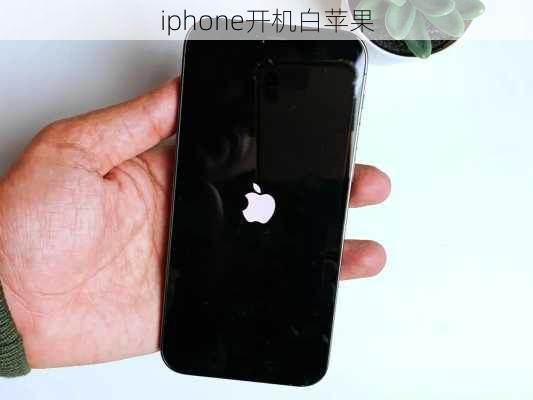 iphone开机白苹果-第3张图片-模头数码科技网