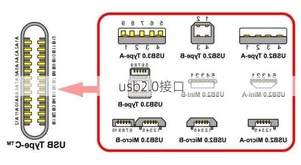 usb2.0接口-第3张图片-模头数码科技网