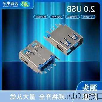 usb2.0接口-第2张图片-模头数码科技网