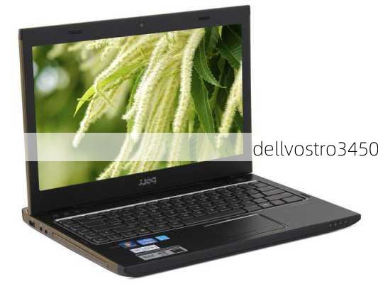 dellvostro3450-第1张图片-模头数码科技网