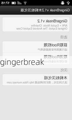 gingerbreak-第3张图片-模头数码科技网