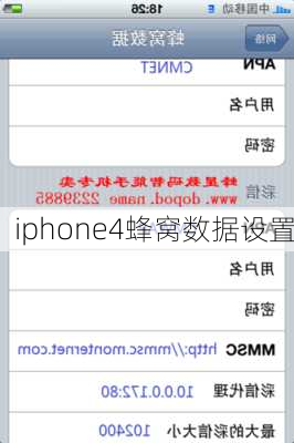 iphone4蜂窝数据设置-第1张图片-模头数码科技网