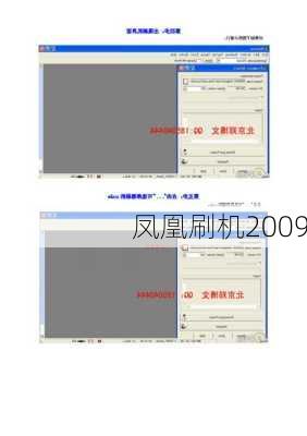 凤凰刷机2009-第2张图片-模头数码科技网