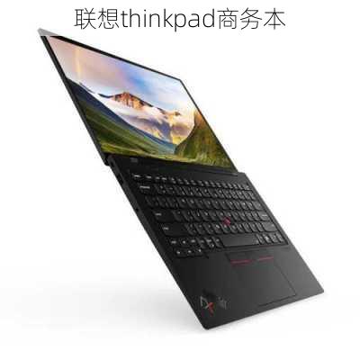 联想thinkpad商务本-第2张图片-模头数码科技网