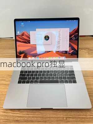 macbook pro独显-第2张图片-模头数码科技网