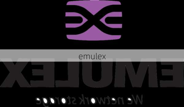 emulex-第3张图片-模头数码科技网