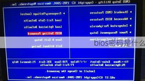 bios密码是什么-第3张图片-模头数码科技网