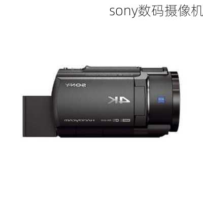 sony数码摄像机-第3张图片-模头数码科技网