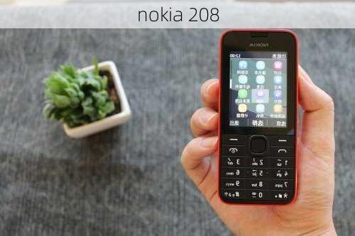 nokia 208-第1张图片-模头数码科技网