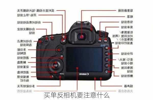 买单反相机要注意什么-第3张图片-模头数码科技网