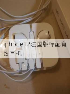 iphone12法国版标配有线耳机-第3张图片-模头数码科技网