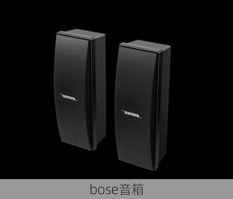 bose音箱-第3张图片-模头数码科技网