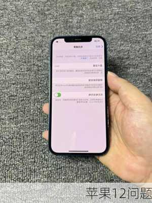 苹果12问题-第1张图片-模头数码科技网