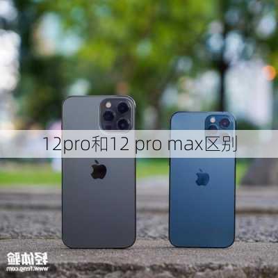 12pro和12 pro max区别-第2张图片-模头数码科技网