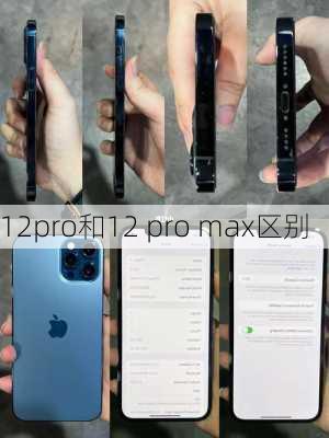 12pro和12 pro max区别-第3张图片-模头数码科技网