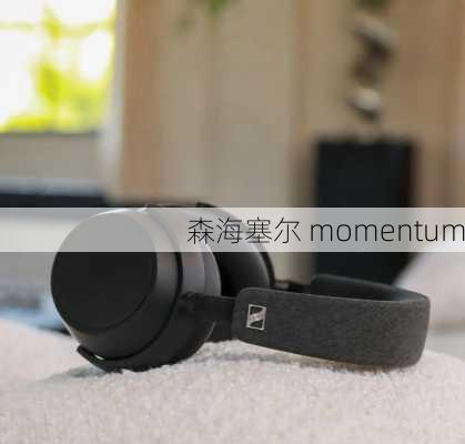 森海塞尔 momentum-第1张图片-模头数码科技网