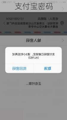 支付宝密码-第1张图片-模头数码科技网