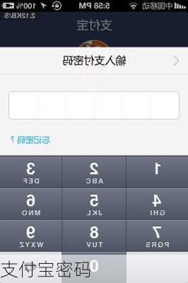 支付宝密码-第2张图片-模头数码科技网