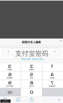 支付宝密码-第3张图片-模头数码科技网