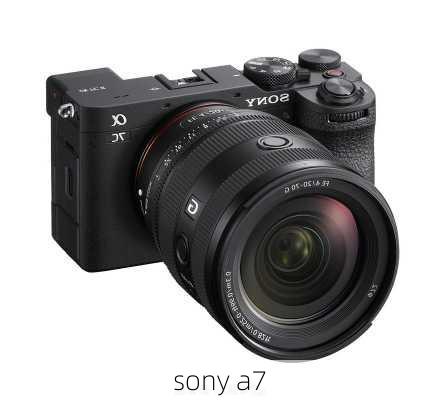 sony a7-第1张图片-模头数码科技网