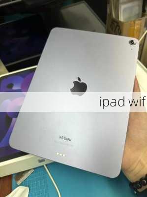 ipad wifi-第2张图片-模头数码科技网