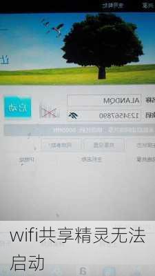 wifi共享精灵无法启动-第1张图片-模头数码科技网