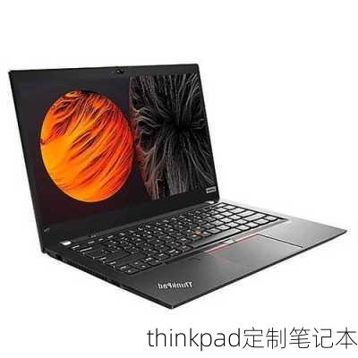 thinkpad定制笔记本-第3张图片-模头数码科技网