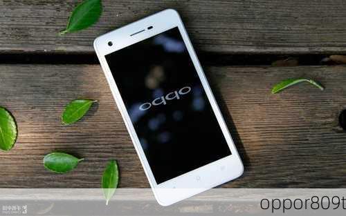 oppor809t-第2张图片-模头数码科技网