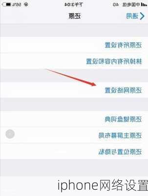 iphone网络设置-第1张图片-模头数码科技网