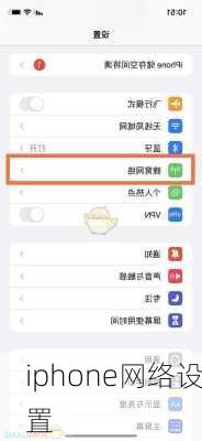 iphone网络设置-第3张图片-模头数码科技网