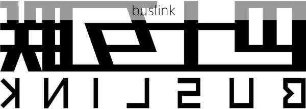 buslink-第3张图片-模头数码科技网