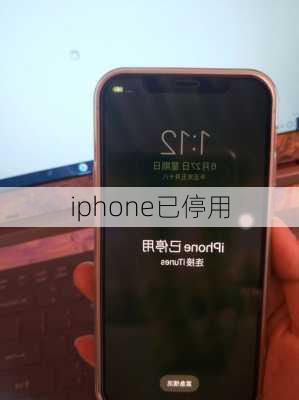 iphone已停用-第1张图片-模头数码科技网