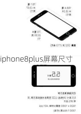 iphone8plus屏幕尺寸-第3张图片-模头数码科技网