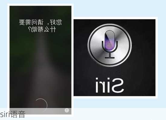 siri语音-第1张图片-模头数码科技网