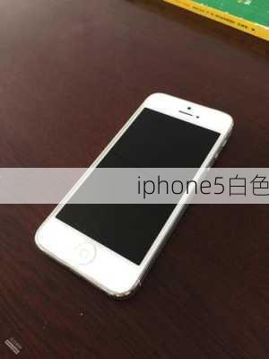 iphone5白色-第1张图片-模头数码科技网